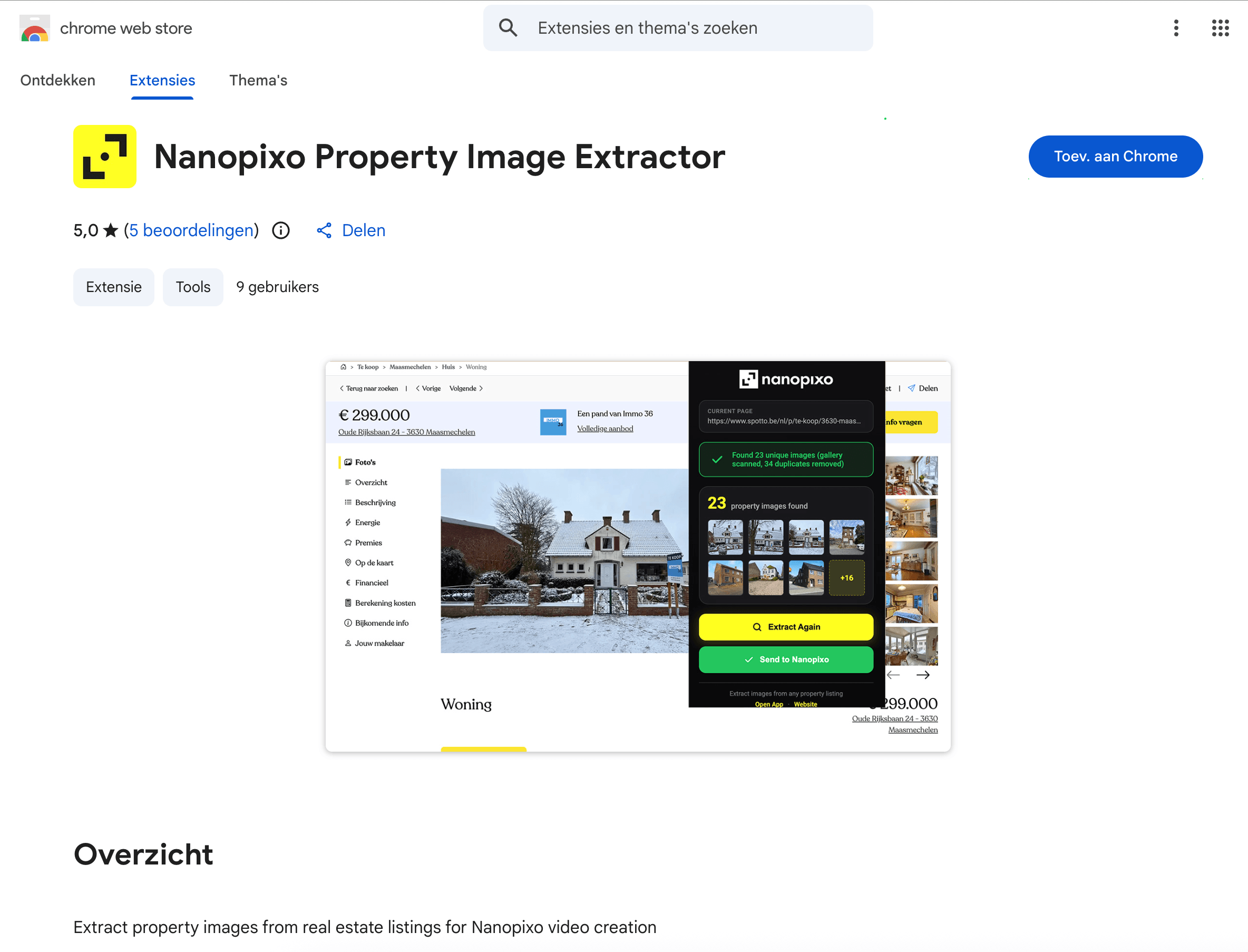 Nanopixo extension listing on the Chrome Web Store